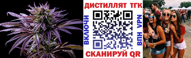 как найти закладки  Вязьма  ТГК концентрат 